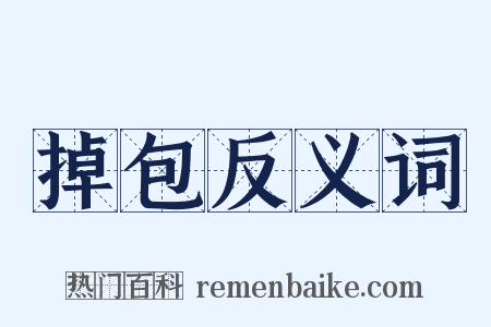 掉包反义词是什么意思的图片